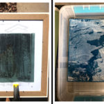 Cyanotype – December 2018